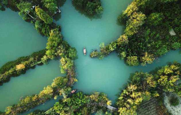 杭州-西溪湿地丨自然与城市的完美融合，畅游杭州的湿地天堂