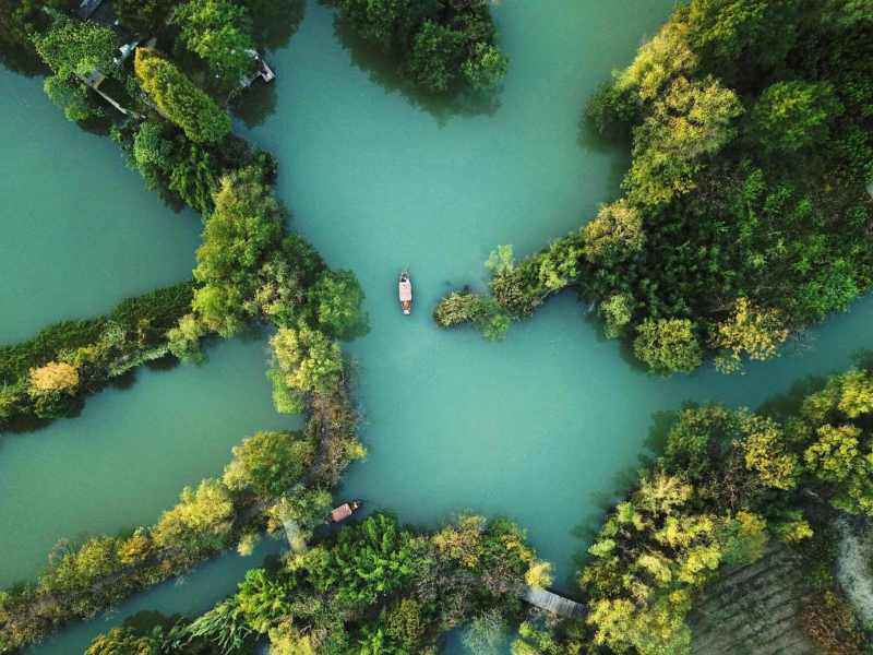 杭州-西溪湿地丨自然与城市的完美融合，畅游杭州的湿地天堂