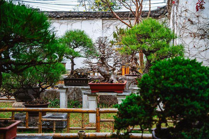 苏州留园景区