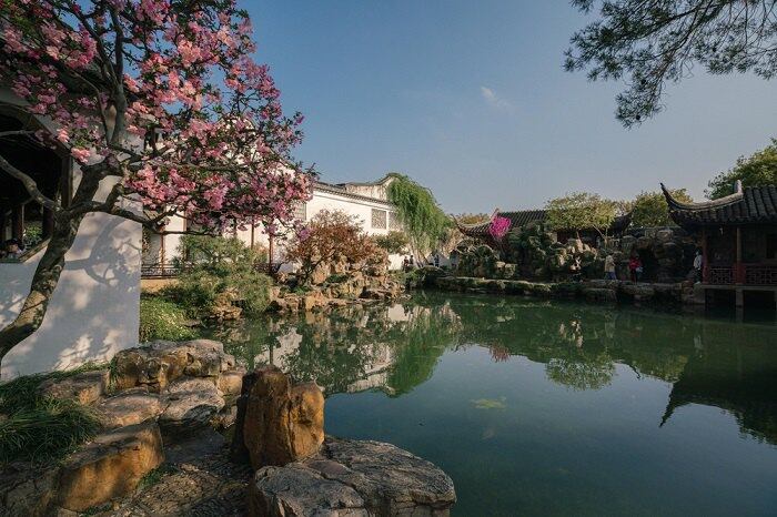 苏州美景定制游
