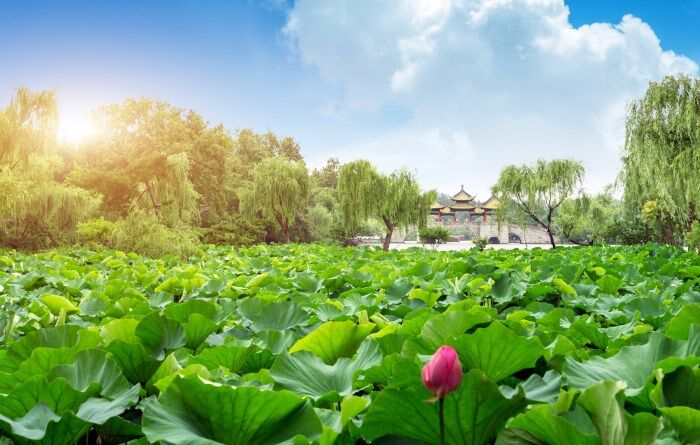 扬州-瘦西湖