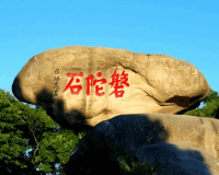 普陀山-西天景区丨奇石古洞相映成趣，感受佛国圣境的禅意氛围