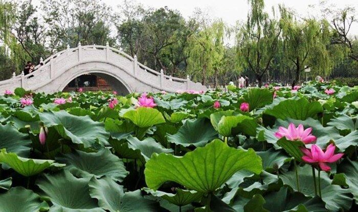瘦西湖