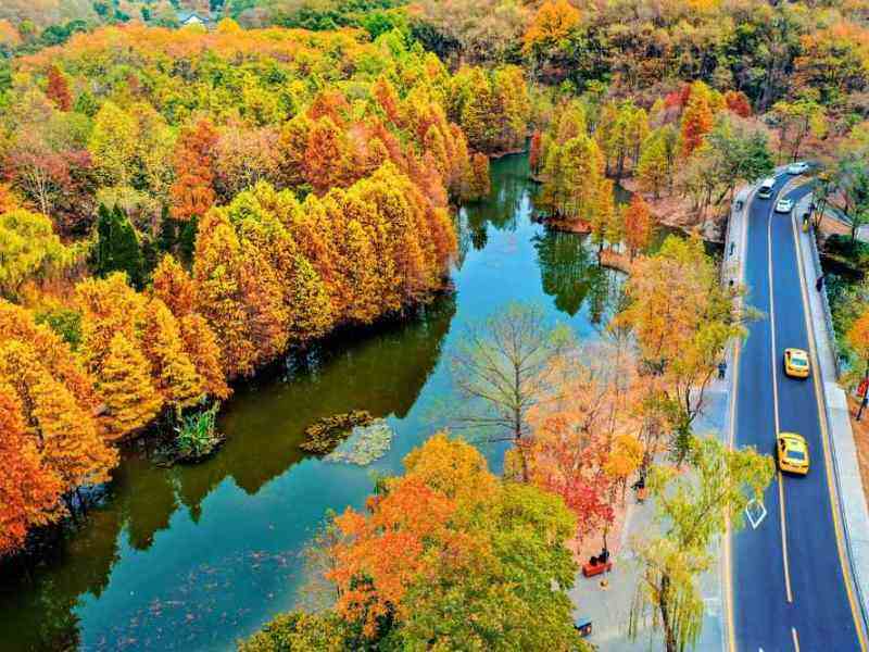 2025南京旅游四季攻略：不同季节的旅游特色介绍