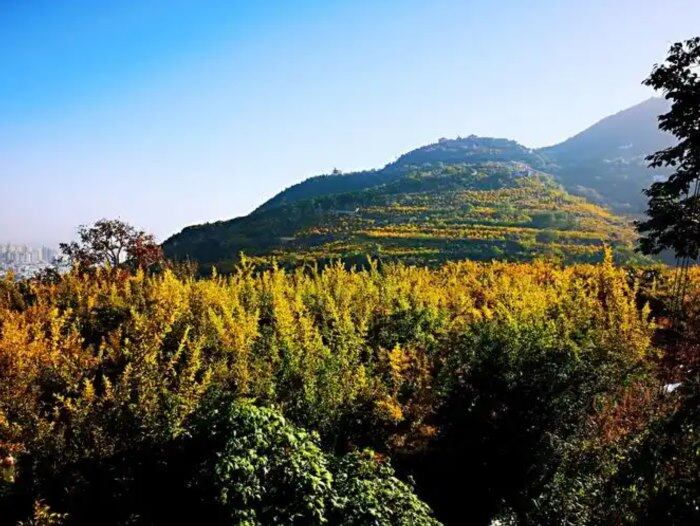 骊山风景区