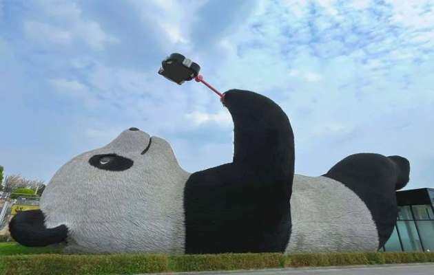 成都熊猫基地开放时间？