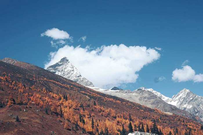 四姑娘山