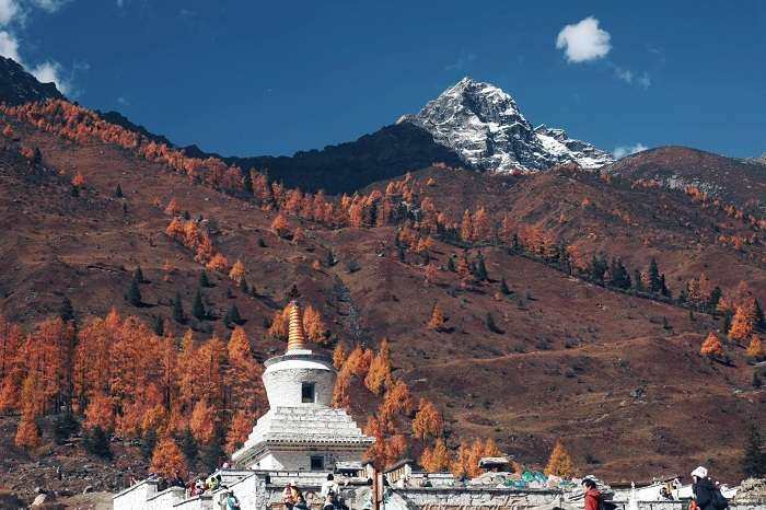 四姑娘山