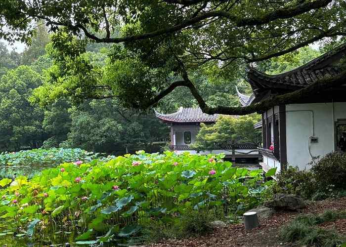 西溪湿地