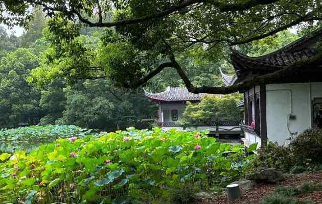 杭州西溪湿地值得去吗？