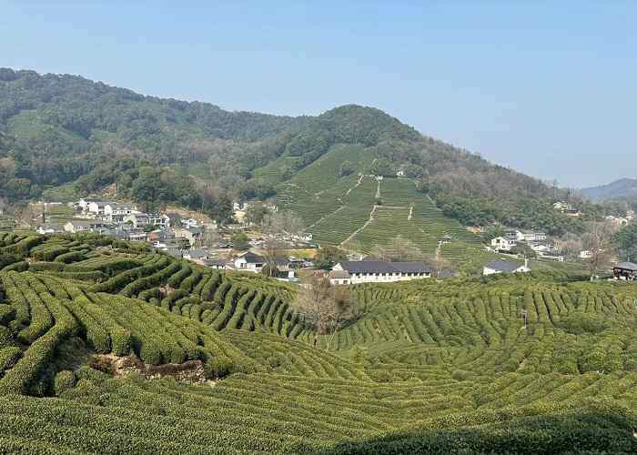 龙进村