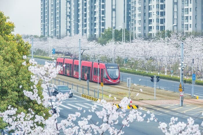 春季景色
