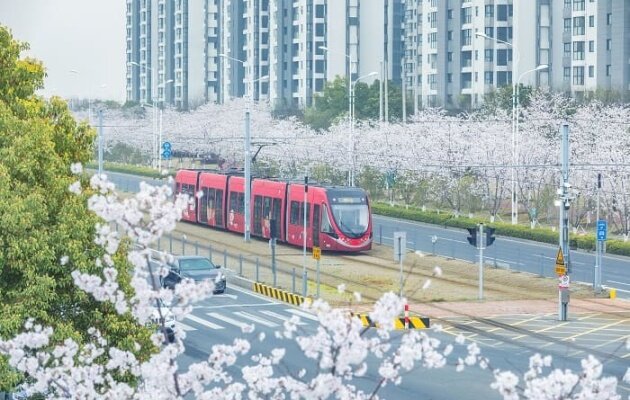 杭州旅游的最佳旅游季节是什么时候？