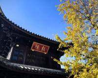 南京的旅游高峰期是什么时候？