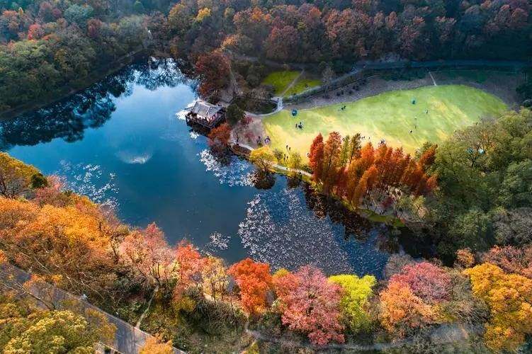 南京-钟山风景区