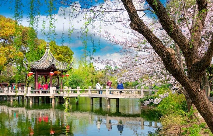 华东-春季景色