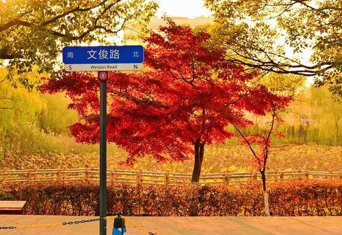 上海-交大