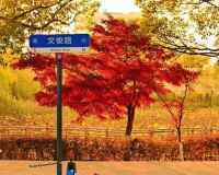 上海春秋季节的天气适合旅游吗？