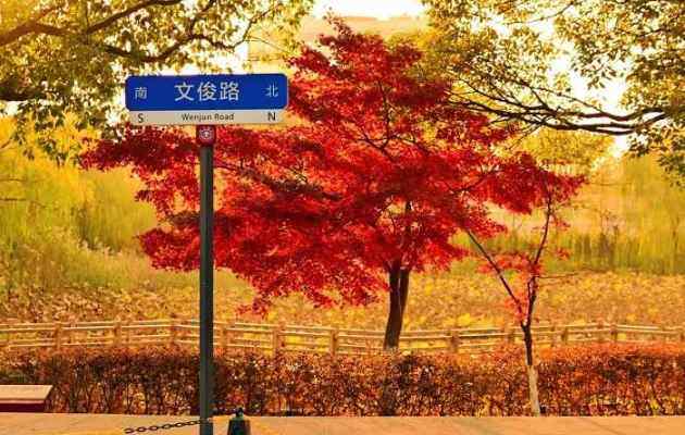上海春秋季节的天气适合旅游吗？