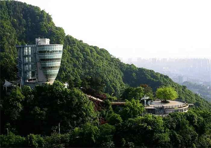 南山一棵树观景台