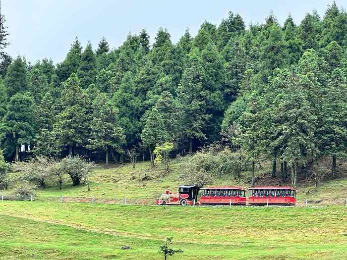 南山植物园