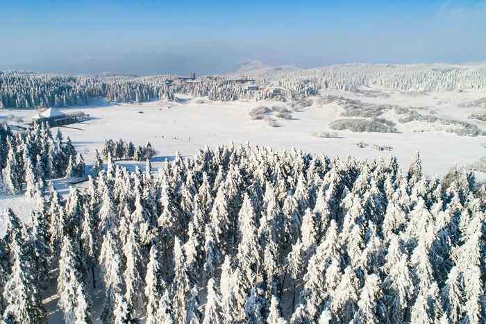 仙女山雪景