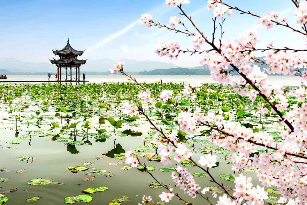 西湖-春季景色