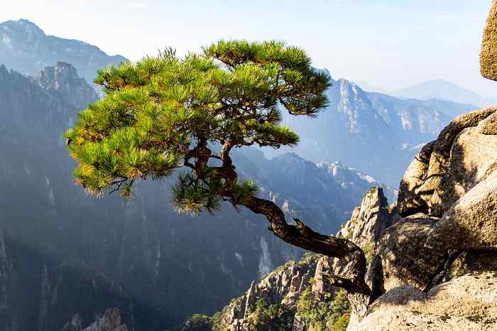 黄山-秋季景色