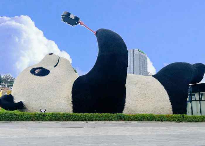 大熊猫繁育研究基地