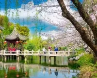 去上海旅游最好的时间是什么时候？    