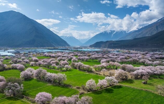 林芝旅游攻略|桃花•南迦巴瓦•西藏旅游零高反神区