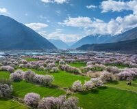 林芝旅游攻略|桃花•南迦巴瓦•西藏旅游零高反神区