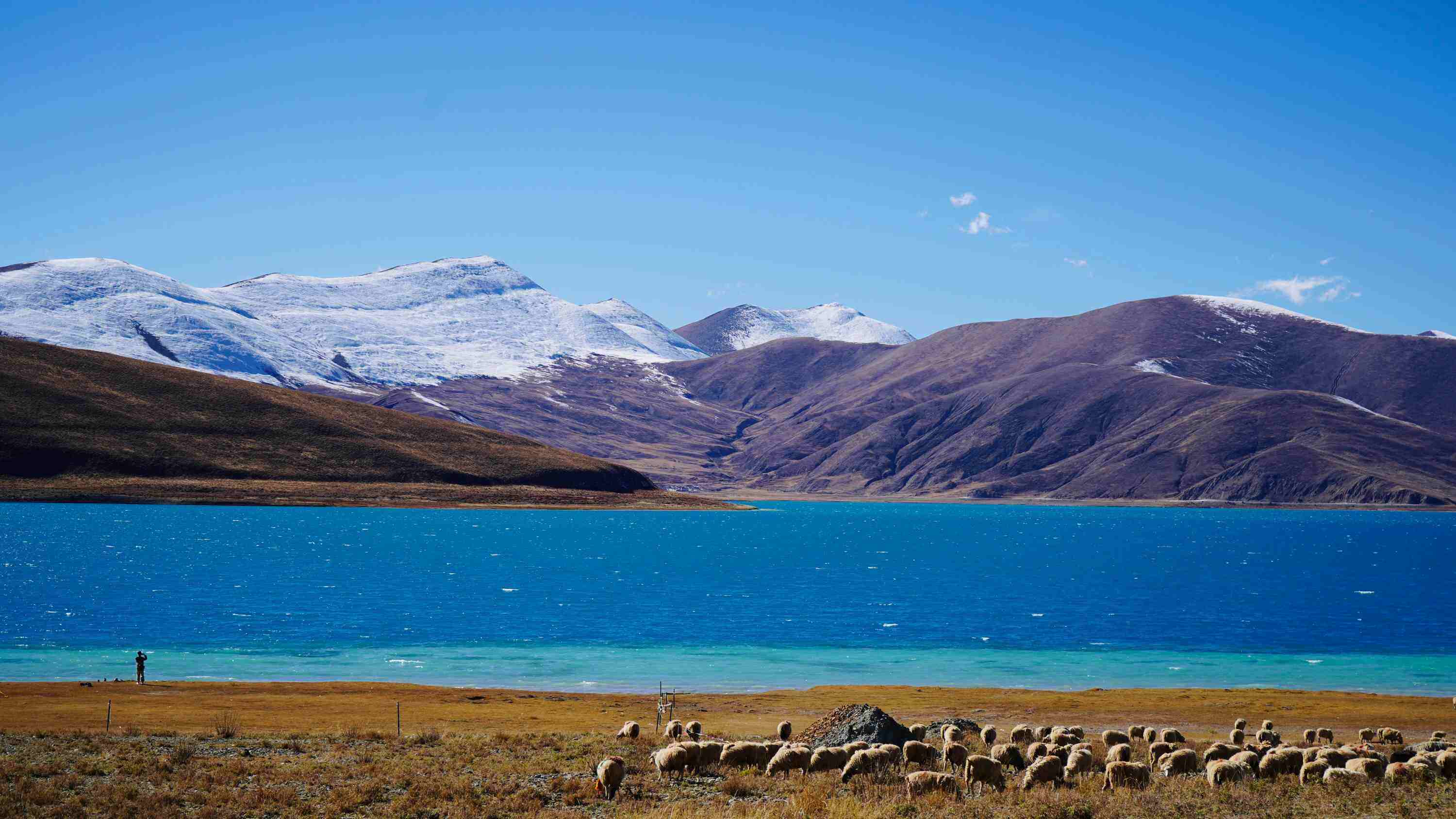 羊卓雍措-牧场生态区