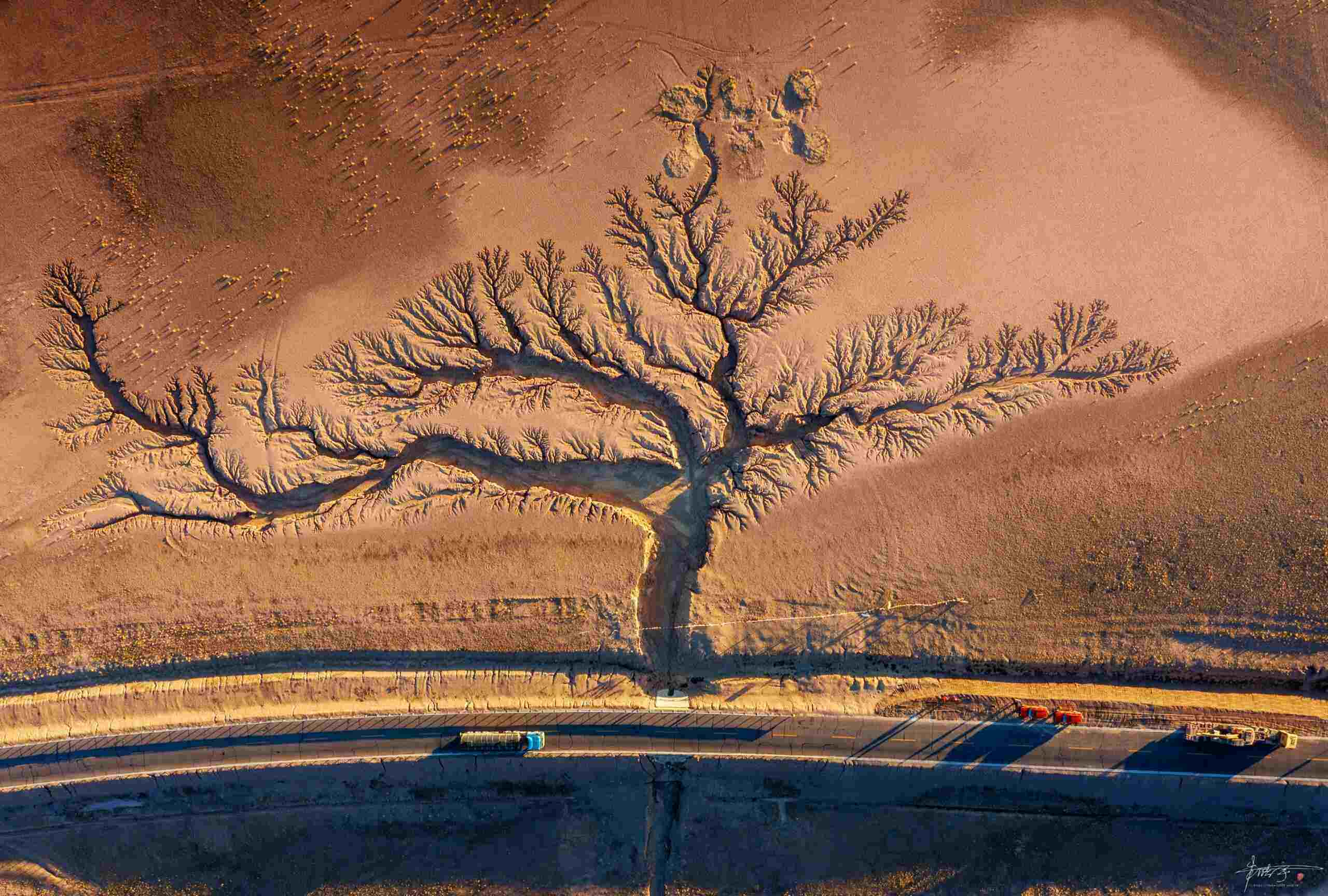 西藏-阿里改则县216国道大地之树