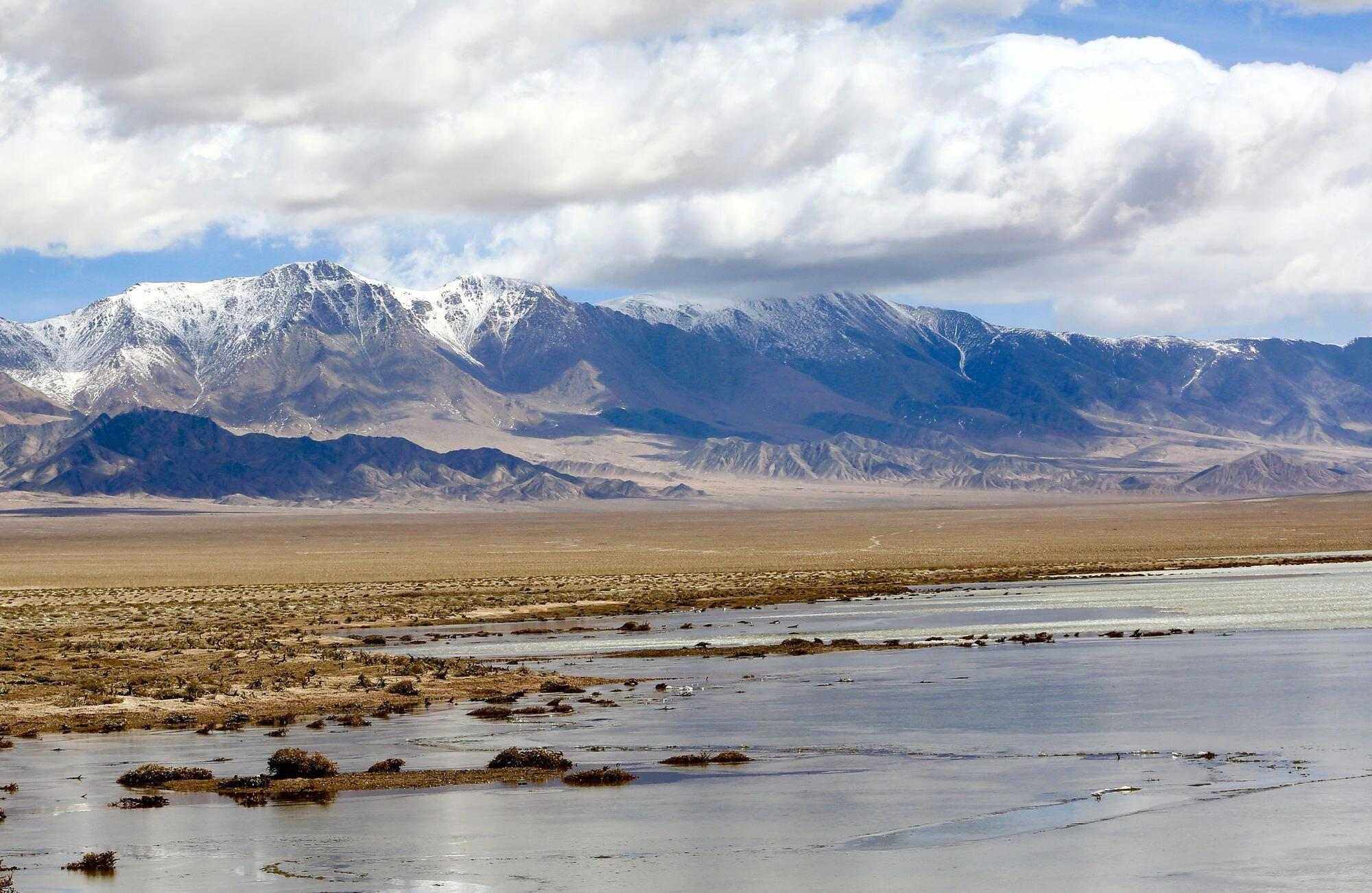 西藏-那曲羌塘草原