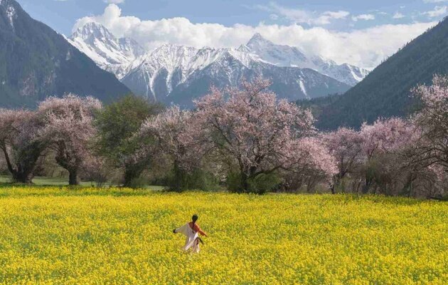 西藏自由行攻略：自由行怎么玩最省心 路线、费用、高反全讲透