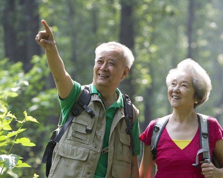 苏州老年人旅游 | 悠然漫步苏州城