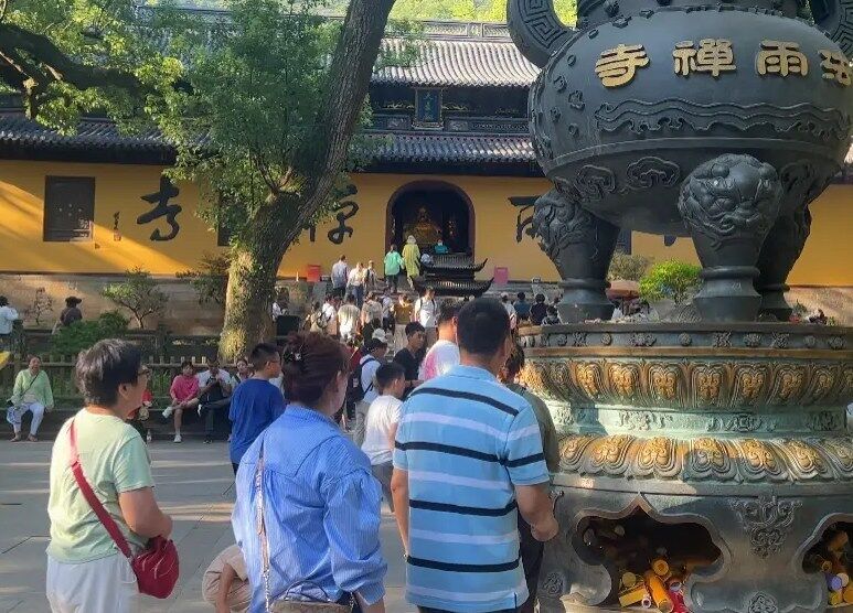 普陀山老年主题游丨轻松享受禅意之旅