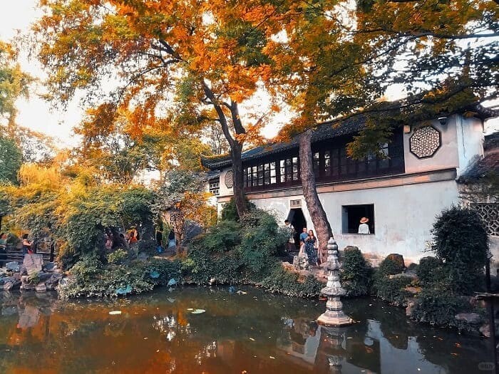 上海苏州三日文化之旅丨古典园林与现代都市