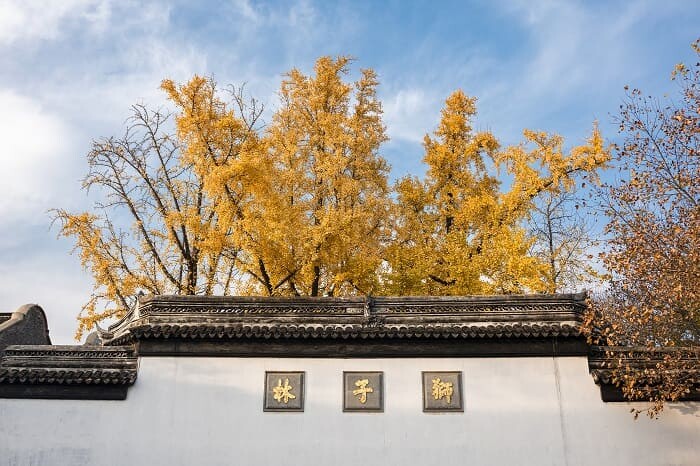 狮子林