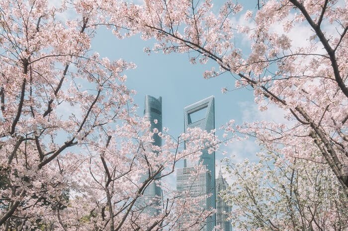 上海中心大厦